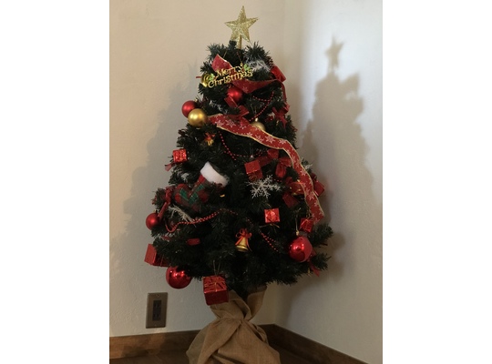 クリスマスツリー